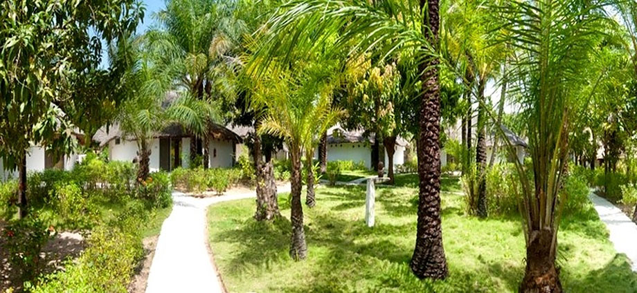 Hotel bungalow location chambre Cap Skirring hotel bungalow sur la plage ambiance tropicale, verdure et parc au bord de la mer cap skirring sénégal casamance arvimedia